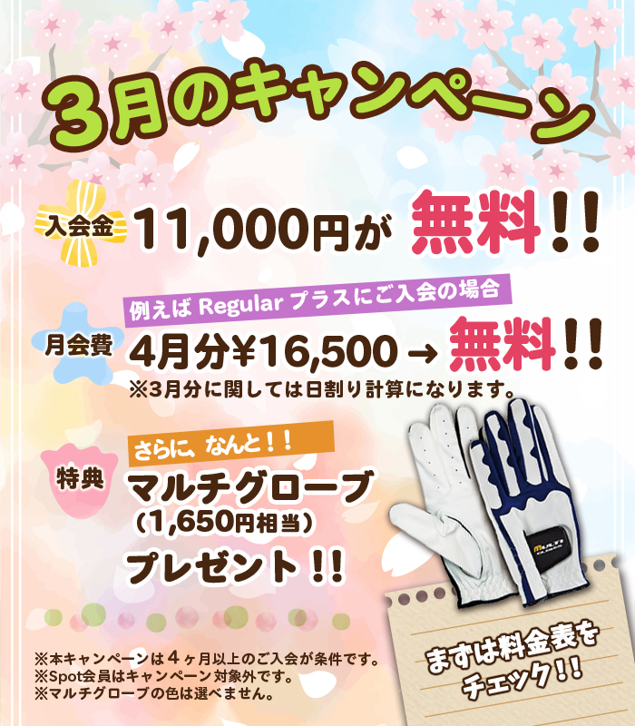 お得なキャンペーン実施中!!